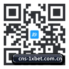 iOS 苹果生态原生版 二维码